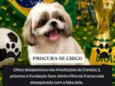 Chico