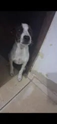 Kiara