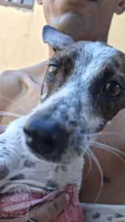 Kiara