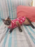 mel