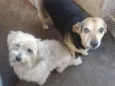 Jully e nina
