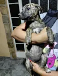 não tem nome definido 
