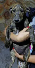 não tem nome definido 