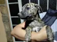 não tem nome definido 