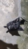 Dom