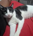 príncipe 