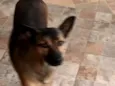 Nina