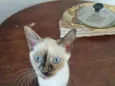 Bia