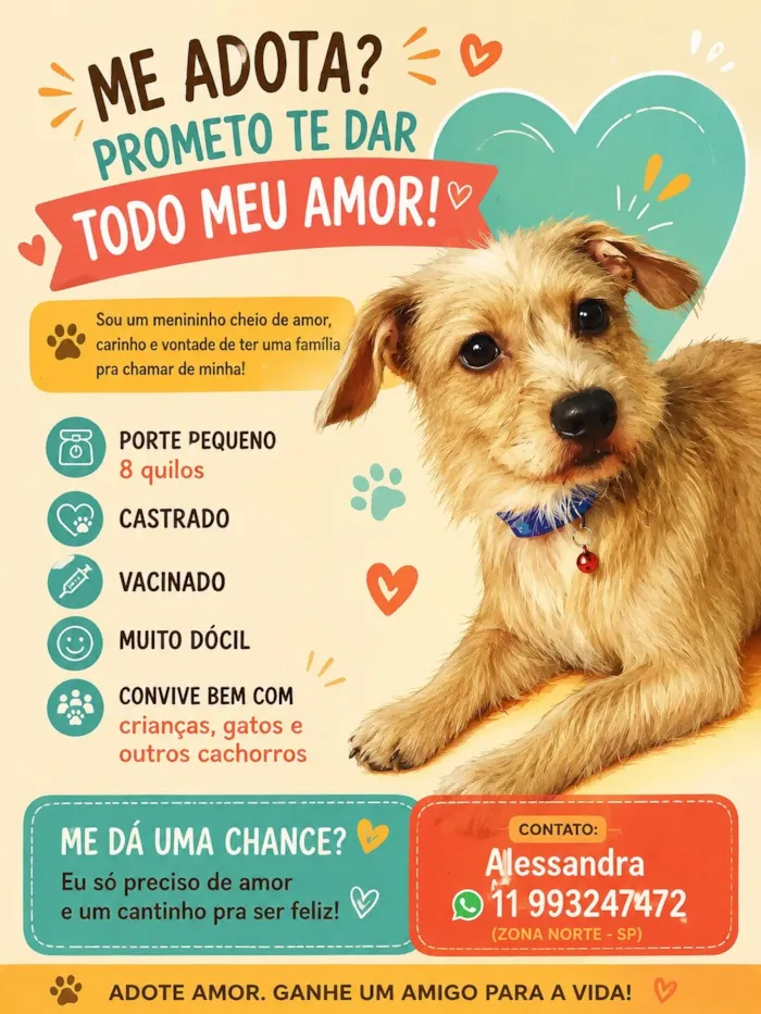 Cachorro raça SRD-ViraLata idade 1 ano nome Pitiko