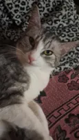 mimi