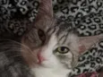 mimi