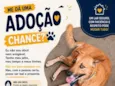 Braddock