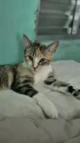 Miah