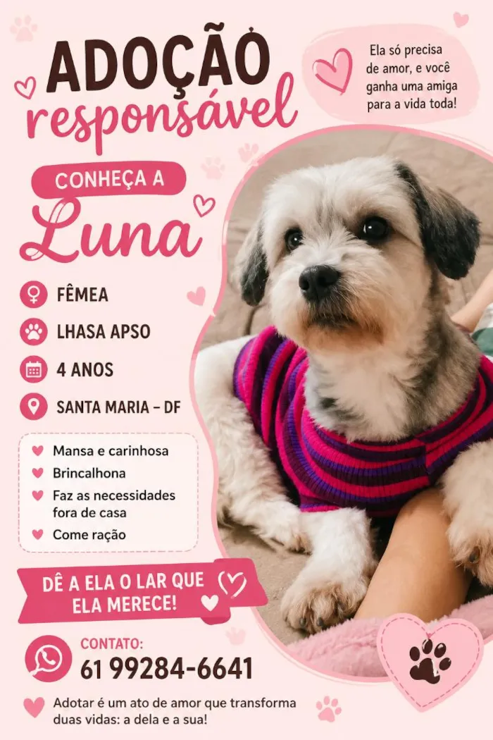 Cachorro raça Lhasa Apso idade 4 anos nome Luna