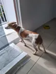 não sei