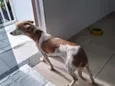 não sei