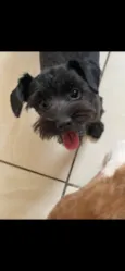 Bella