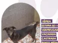 Kiara