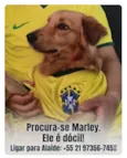 Marley