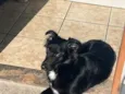 Lucky