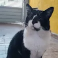 Frederico 