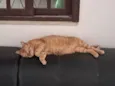 Fred