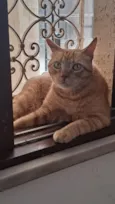 Fred