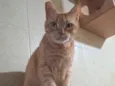 Fred