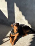Lua