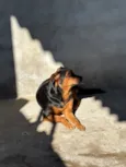 Lua