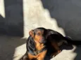Lua