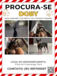 Doby