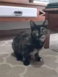Mimi e Jurema