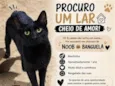 Banguela