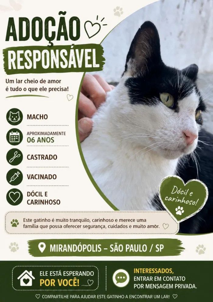 Gato raça SRD-ViraLata idade 6 ou mais anos nome Floyd