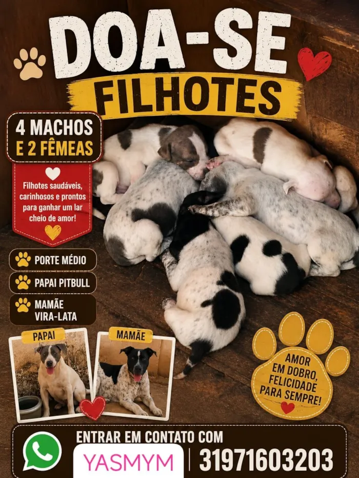 Cachorro raça SRD-ViraLata idade Abaixo de 2 meses nome filhotes