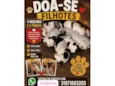 filhotes