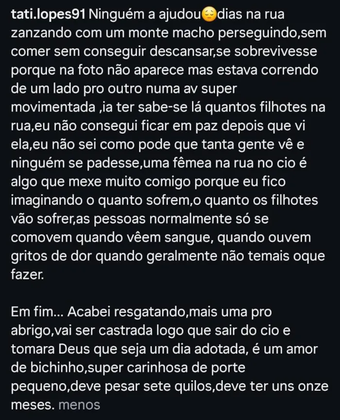Cachorro raça SRD-ViraLata idade 7 a 11 meses nome Laila