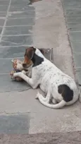 nayla