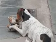 nayla