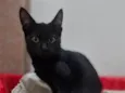 Bruce