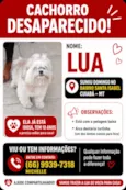 Lua