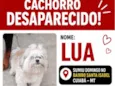 Lua
