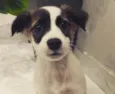 Billy