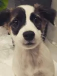 Billy