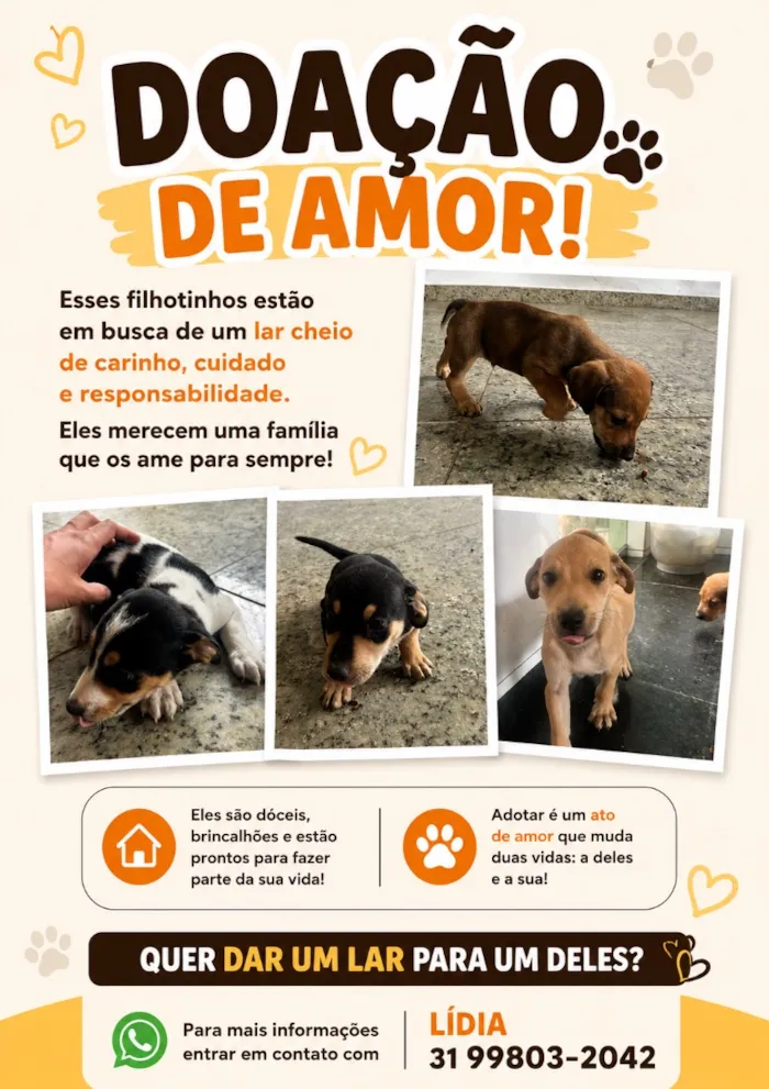 Cachorro raça SRD-ViraLata idade 2 a 6 meses nome Sem nome 
