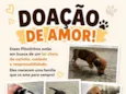 Sem nome 
