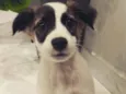 Billy