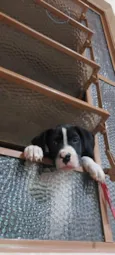 Hiro