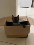 Morgana